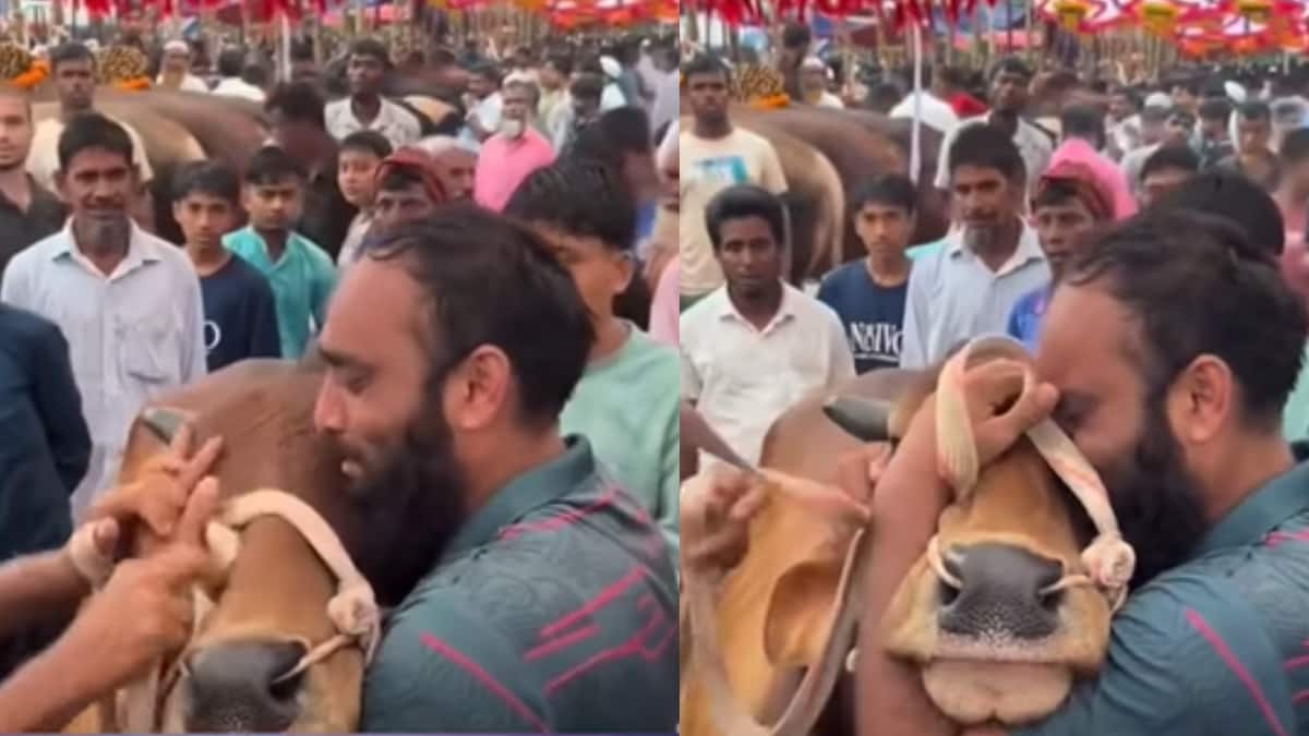 WATCH: Man Breaks Down After Selling Cow For Eid, Jacqueline Fernandez Comments ‘Sad’