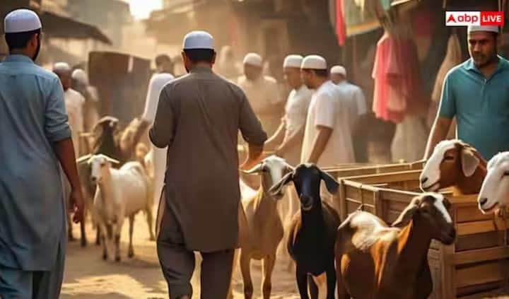 ਕੁਰਬਾਨੀ ਤੋਂ ਬਾਅਦ, ਜਾਨਵਰ ਦੇ ਮਾਸ ਨੂੰ ਤਿੰਨ ਬਰਾਬਰ ਹਿੱਸਿਆਂ ਵਿੱਚ ਵੰਡਿਆ ਜਾਂਦਾ ਹੈ। ਇੱਕ ਹਿੱਸਾ ਗਰੀਬਾਂ ਅਤੇ ਲੋੜਵੰਦਾਂ ਨੂੰ ਦਿੱਤਾ ਜਾਂਦਾ ਹੈ, ਦੂਜਾ ਹਿੱਸਾ ਰਿਸ਼ਤੇਦਾਰਾਂ ਅਤੇ ਦੋਸਤਾਂ ਨੂੰ ਦਿੱਤਾ ਜਾਂਦਾ ਹੈ, ਅਤੇ ਤੀਜਾ ਹਿੱਸਾ ਪਰਿਵਾਰ ਲਈ ਰੱਖਿਆ ਜਾਂਦਾ ਹੈ।