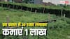 सिर्फ 30 हजार की लागत से लाख पार पहुंचेगा मुनाफा, किसानों के लिए लॉटरी साबित हो रही नेनुआ की ये खेती