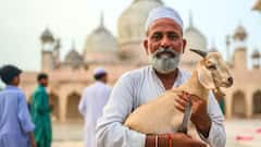 Bakrid Qurbani: బక్రీద్ పండుగనాడు బలి ఇచ్చే ముందు మేక పళ్ళను ఎందుకు లెక్కిస్తారు?