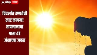 विदर्भात उष्णतेची लाट कायम! तापमानाचा पारा 47 अंशाच्या जवळ, कोणत्या जिल्ह्यात किती तापमानाची नोंद? 
