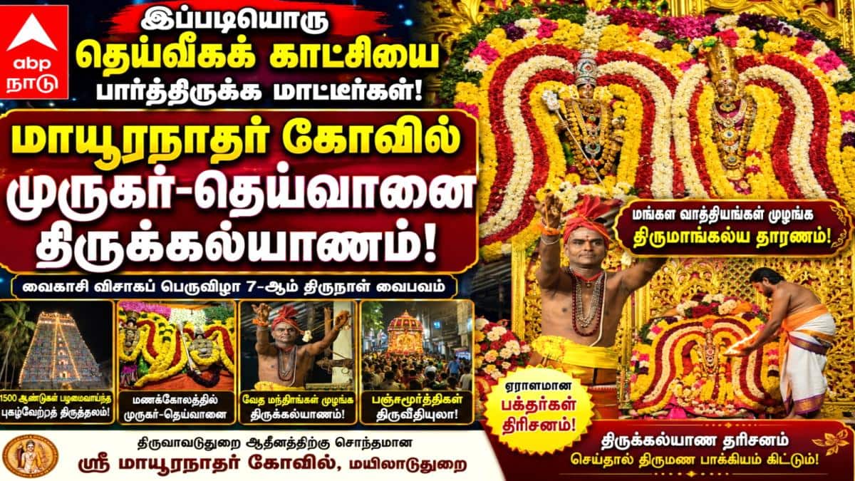 இப்படியொரு தெய்வீகக் காட்சியைப் பார்த்திருக்க மாட்டீர்கள்! மாயூரநாதர் கோயில் முருகர்-தெய்வானை திருக்கல்யாணம்!