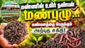 மண்ணின் உயிர் நண்பன் மண்புழு... மண்வளத்தை பெருக்கும் அற்புத சக்தி!