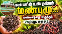 மண்ணின் உயிர் நண்பன் மண்புழு... மண்வளத்தை பெருக்கும் அற்புத சக்தி!