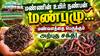 மண்ணின் உயிர் நண்பன் மண்புழு... மண்வளத்தை பெருக்கும் அற்புத சக்தி!