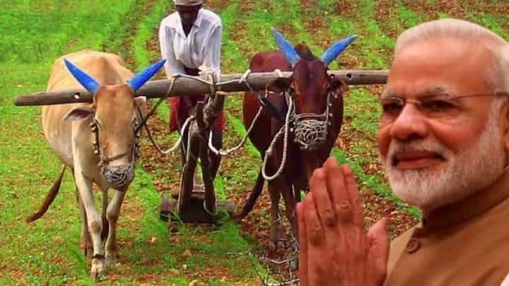Agriculture: સંકટ સમયે ખેડૂતોનો આ છે અસલી સહારો, જાણો પીએમ આશા યોજનાથી કઇ રીતે વધે છે નફો ?