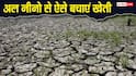 खेती पर 'अल नीनो' का संकट! किसानों को क्या करना चाहिए, जानें कौन सी फसल और बीज रहेंगे सुरक्षित?