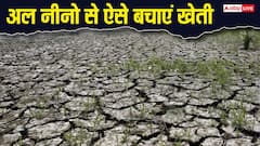 खेती पर 'अल नीनो' का संकट! किसानों को क्या करना चाहिए, जानें कौन सी फसल और बीज रहेंगे सुरक्षित?