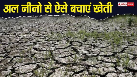 खेती पर 'अल नीनो' का संकट! किसानों को क्या करना चाहिए, जानें कौन सी फसल और बीज रहेंगे सुरक्षित? खेती पर 'अल नीनो' का संकट! किसानों को क्या करना चाहिए, जानें कौन सी फसल और बीज रहेंगे सुरक्षित?
