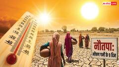 Nautapa: नौतपा में लगाएं ये लकी प्लांट, हाई तापमान होगा कूल और बदलेगी किस्मत