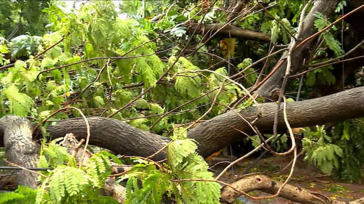 দুপুরেই নামল অন্ধকার। কলকাতা ও জেলায় জেলায় হল তুমুল ঝড় ও বৃষ্টি। আলিপুর আবহাওয়া দফতর সূত্রে খবর, ঝড়ের সর্বোচ্চ গতিবেগ ছিল ৮৮ কিলোমিটার।