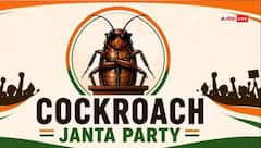 Cockroach Janata Party ਨੂੰ ਵੱਡਾ ਝਟਕਾ, ਦਿੱਲੀ ਹਾਈਕੋਰਟ ਨੇ X ਅਕਾਊਂਟ ਨੂੰ ਬਹਾਲ ਕਰਨ ਤੋਂ ਕੀਤਾ ਇਨਕਾਰ