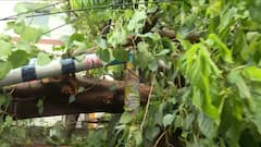 Weather Update: ২৫ জায়গায় ভাঙল গাছ, ব্যাহত ট্রেন-মেট্রো পরিষেবা, রানওয়েতেও জমল জল! ঝড়ে বিপর্যস্ত কলকাতা