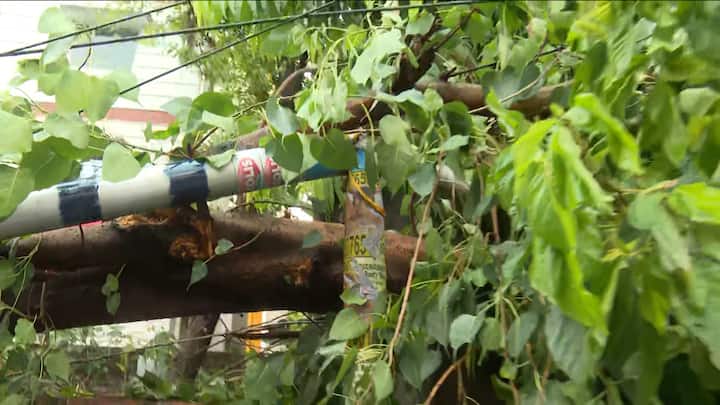 পূর্বাভাসে বলা হয়েছে, আগামী ২৪ ঘণ্টা দক্ষিণবঙ্গে বিক্ষিপ্তভাবে বৃষ্টি চলবে। শনিও রবিবার ঝোড়ো হাওয়া দিতে পারে ৩০ থেকে ৫০ কিলোমিটার বেগে। সঙ্গে চলবে বিক্ষিপ্ত বৃষ্টি।
