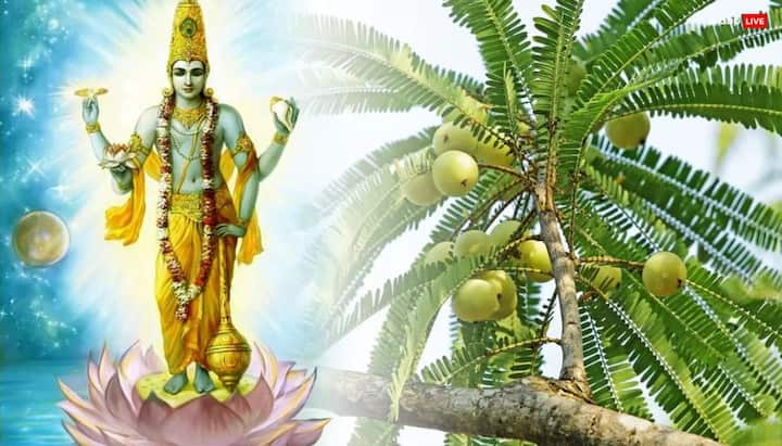 अधिकमास के कृष्ण पक्ष की परम एकादशी 11 जून को सुबह 12.57 पर शुरू होगी और अगले दिन 11 जून को रात 10.36 पर समाप्त होगी. पूजा के लिए इस दिन सुबह 10.36 - दोपहर 2.05