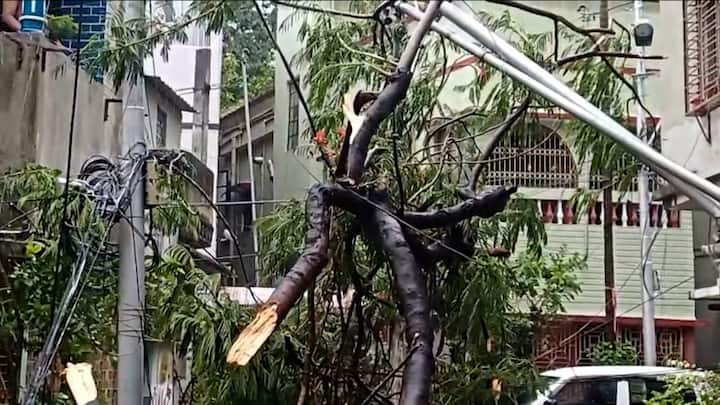 আজ ঝড়বৃষ্টির ফলে, বন্ধ হয়ে যায় বিমানের ওঠানামাও। জল জমে যায় রানওয়েতে। ল্যাডার ভেঙে যাওয়ার খবরও পাওয়া গিয়েছে। তবে খুব তাড়াতাড়িই পরিস্থিতি স্বাভাবিক করে তোলা হয়।