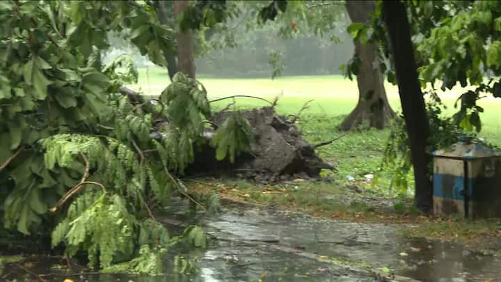 আবহাওয়ার পূর্বাভাসে বলা হয়েছে, আগামী ২৪ ঘণ্টা দক্ষিণবঙ্গে বিক্ষিপ্তভাবে বৃষ্টি চলবে। শনিবার ও রবিবার ৩০ থেকে ৫০ কিলোমিটার বেগে ঝোড়ো হাওয়া বইতে পারে।  বেশি বৃষ্টি হতে পারে পশ্চিমের জেলাগুলিতে। রবিবার থেকে কমবে বৃষ্টির পরিমাণ।