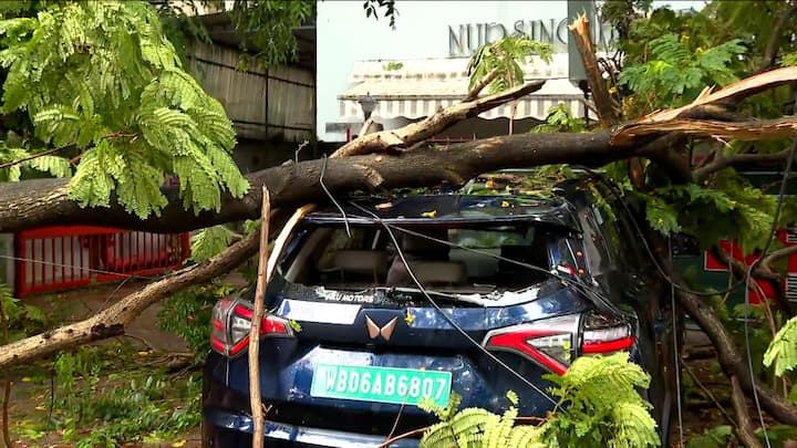 ময়দান, প্রিন্সেপ ঘাট, সল্টলেক, টালা পার্ক, রফি আহমেদ কিদওয়াই রোড-সহ কলকাতার গুরুত্বপূর্ণ অন্তত ২৫টি জায়গায় গাছ পড়ে ব্যাহত হয় যান চলাচল। সল্টলেকে গাড়ির উপর গাছ উপড়ে পড়ে বিপত্তি ঘটে।