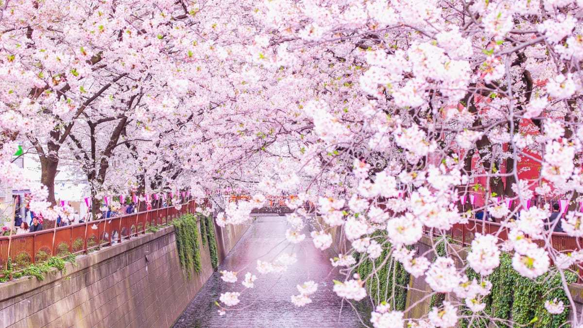 (Image Source: Canva)