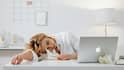 Power Nap Benefits: दोपहर में कितनी देर के लिए लेनी चाहिए पावर नैप? रीसेट हो जाएगा पूरा दिन