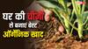 खेतों में केमिकल डालना बंद करें, घर पर बनाएं ऑर्गेनिक खाद, कम खर्च में फसल देगी छप्परफाड़ मुनाफा