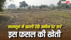 बारिश के सीजन में खाली पड़ी जमीन पर करें इस फसल की खेती, कुछ ही दिन में होगी तगड़ी कमाई
