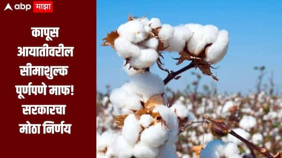 कापूस आयातीवरील सीमाशुल्क पूर्णपणे माफ, केंद्र सरकारचा मोठा निर्णय