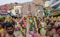 திருப்பரங்குன்றத்தில் வைகாசி விசாக விழா ஆயிரக்கணக்கான பக்தர்கள் பால்குடம் எடுத்து தரிசனம் !