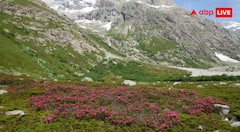 Valley of Flowers 2026 Travel Guide: खुलने जा रही है फूलों की जन्नत! वैली ऑफ फ्लावर्स 2026 की तारीख घोषित, जानें पूरी ट्रैवल गाइड