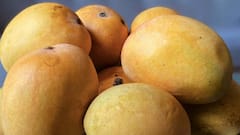 Homemade Mango Ice Cream: घर पर बनानी है परफेक्ट मैंगो आइसक्रीम, पहले जान लें कौन-सा आम देगा सबसे क्रीमी स्वाद?