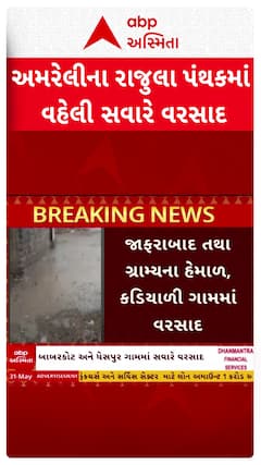 Amreli Rain : અમરેલીના રાજુલા પંથકમાં વહેલી સવારે વરસાદ