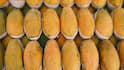 Homemade Mango Ice Cream: घर पर बनानी है परफेक्ट मैंगो आइसक्रीम, पहले जान लें कौन-सा आम देगा सबसे क्रीमी स्वाद?