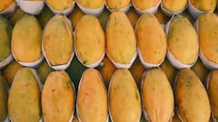 Homemade Mango Ice Cream: घर पर बनानी है परफेक्ट मैंगो आइसक्रीम, पहले जान लें कौन-सा आम देगा सबसे क्रीमी स्वाद?