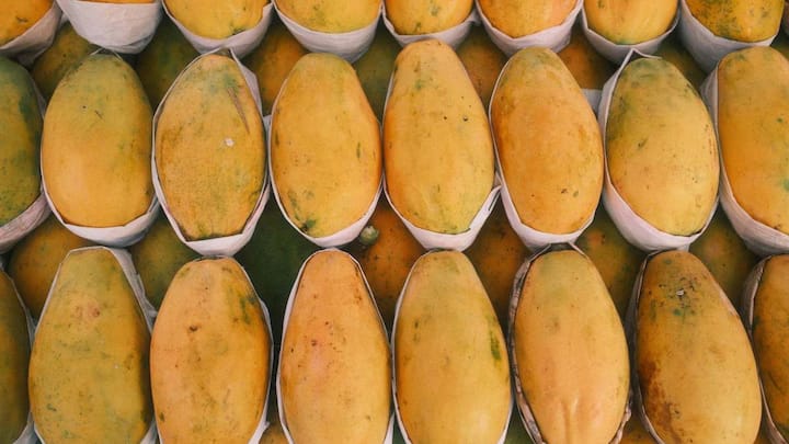 Homemade Mango Ice Cream: घर पर बनानी है परफेक्ट मैंगो आइसक्रीम, पहले जान लें कौन-सा आम देगा सबसे क्रीमी स्वाद? 2 विशेषज्ञों के अनुसार, अल्फोंसो, केसर और बादामी जैसे आम आइसक्रीम के लिए सबसे अच्छे माने जाते हैं. इन आमों में प्राकृतिक मिठास भरपूर होती है और इनका गूदा काफी चिकना होता है. यही वजह है कि इनसे बनी आइसक्रीम में अलग से ज्यादा चीनी डालने की जरूरत नहीं पड़ती. साथ ही इनकी खुशबू भी काफी अच्छी होती है, जो आइसक्रीम के स्वाद को और खास बना देती है. वही अगर आम मीठा और स्वाद से भरपूर होगा, तो आपकी आइसक्रीम भी उतनी ही शानदार बनेगी.