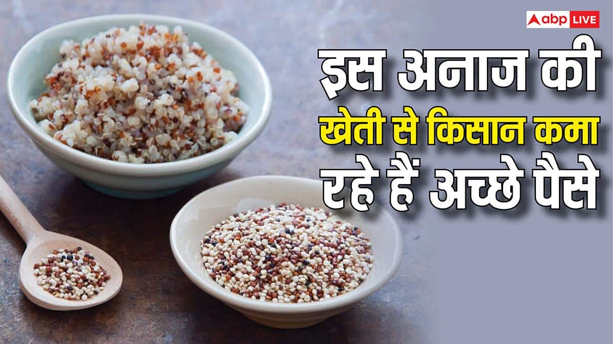 इस विदेशी अनाज की खेती से मालामाल हो सकते हैं किसान, बाजार में बढ़ रही है डिमांड