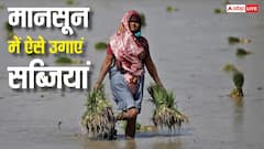 बारिश के मौसम में बर्बाद नहीं होगी एक भी फसल, इस तकनीक से सब्जियों की खेती कर कमाएं बंपर मुनाफा