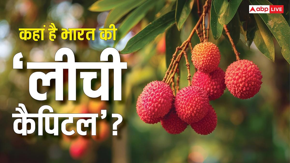 Litchi Capital of India: भारत में सबसे ज्यादा कहां होती है लीची, जानें कौन सा राज्य इसमें नंबर-वन?