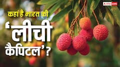 Litchi Capital of India: भारत में सबसे ज्यादा कहां होती है लीची, जानें कौन सा राज्य इसमें नंबर-वन?