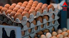Egg Benefits: কোলেস্টরলের ভয়, প্রেশার বেশি? রোজ ডিম খাওয়া কি নিরাপদ? কী বলছেন চিকিৎসক?