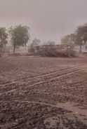 मराठवाड्यासह विविध जिल्ह्यात पावसाची हजेरी; कुठे गारा, कुठे वादळवारा, उकाड्यापासून नागरिकांना सुटका