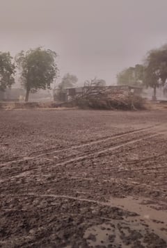 मराठवाड्यासह विविध जिल्ह्यात पावसाची हजेरी; कुठे गारा, कुठे वादळवारा, उकाड्यापासून नागरिकांना सुटका