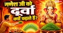 Ganesh Durva Katha: आखिर गणेश जी को क्यों चढ़ाते हैं दूर्वा? जानें इससे जुड़ी पौराणिक कथा