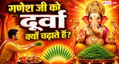 आखिर गणेश जी को क्यों चढ़ाते हैं दूर्वा? जानें इससे जुड़ी पौराणिक कथा