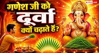 Ganesh Durva Katha: आखिर गणेश जी को क्यों चढ़ाते हैं दूर्वा? जानें इससे जुड़ी पौराणिक कथा