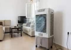 Cooler Tips : ਹੁਣ ਕੂਲਰ ਵੀ ਦੇਵੇਗਾ AC ਵਰਗੀ ਠੰਡੀ ਹਵਾ, ਬਸ ਪਾਣੀ ਦੀ ਟੈਂਕੀ 'ਚ ਮਿਲਾਓ ਇਹ ਚੀਜ਼ਾਂ