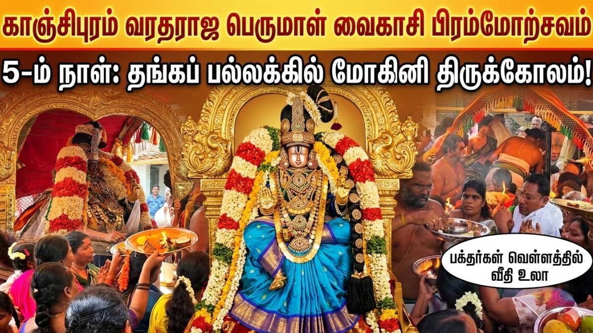 வைகாசி பிரம்மோற்சவம்: தங்கப்பல்லக்கில் மோகினி திருக்கோலத்தில் வரதராஜ பெருமாள்!