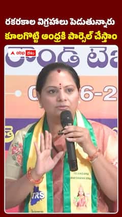 రకరకాల విగ్రహాలు పెడుతున్నారు.. కూలగొట్టి ఆంధ్రకి పార్సెల్‌ చేేస్తాం..