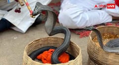 Unique Snake Festivals: नाग पंचमी से पायथन फेस्टिवल तक, दुनिया में मनाए जाते हैं सांपों के ये 7 अनोखे त्योहार