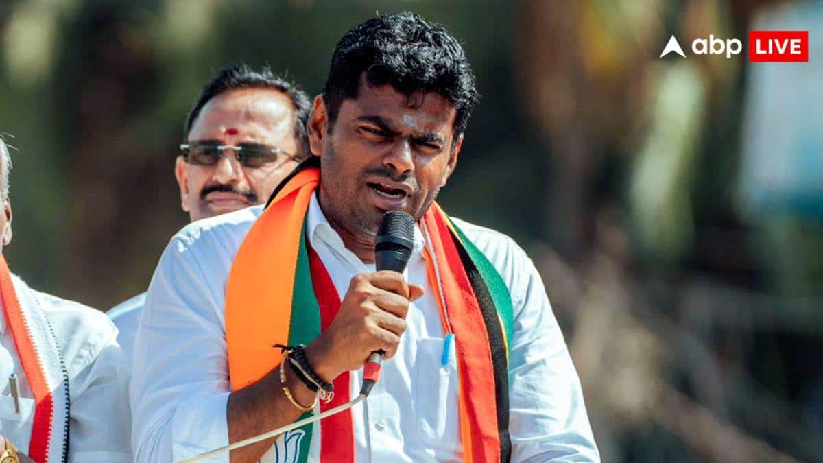 नई पार्टी बनाएंगे या कोई और बात? अन्नामलाई ने गाड़ी से हटाया BJP का झंडा, 3 जून को कर सकते हैं फैसला