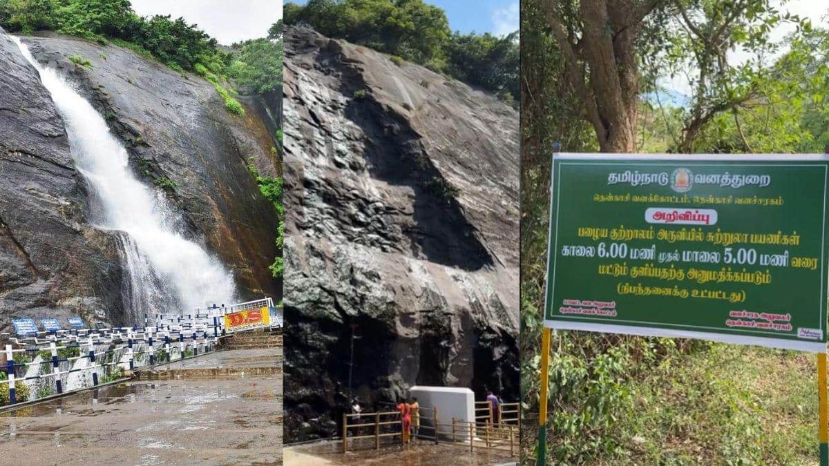 Courtallam Season: குளுகுளு சீசன்.. பழைய குற்றாலம் அருவியில் செய்யப்பட்டுள்ள சூப்பர் மாற்றங்கள்!